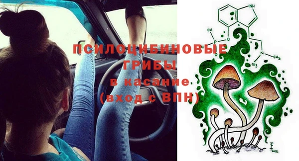 тгк Алзамай