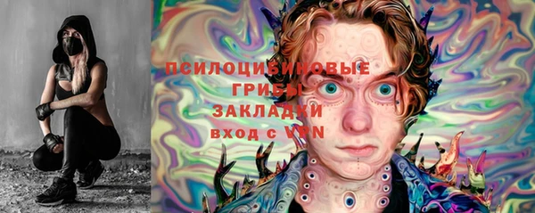 тгк Алзамай